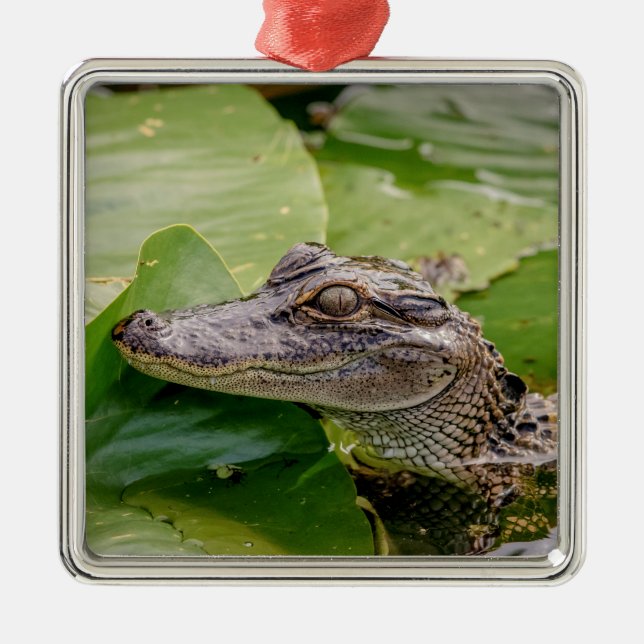 Young Alligator Ornament Aus Metall (Vorne)