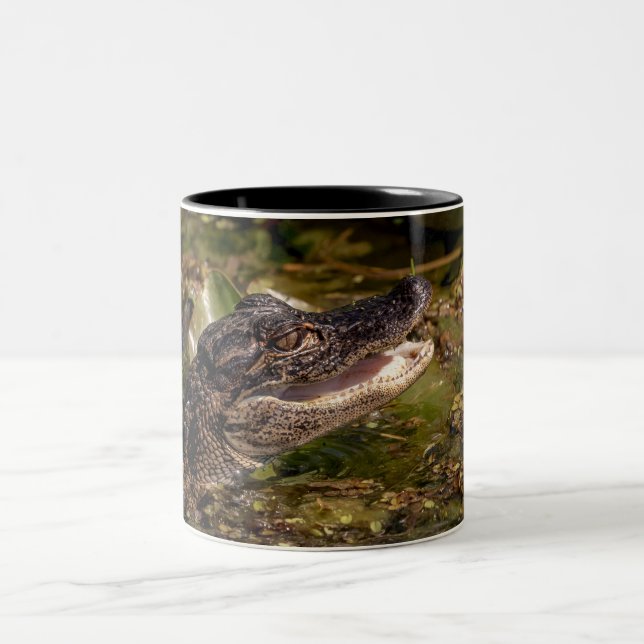Young Alligator Zweifarbige Tasse (Mittel)