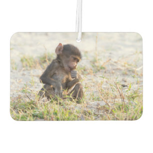 Young Baboon Autolufterfrischer