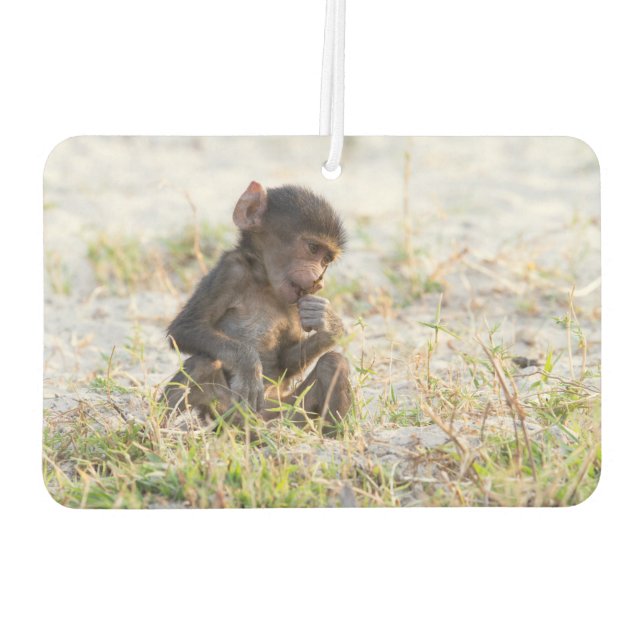 Young Baboon Autolufterfrischer (Rückseite)