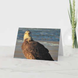 Young Bald Eagle on the Beach Birthday Card Karte