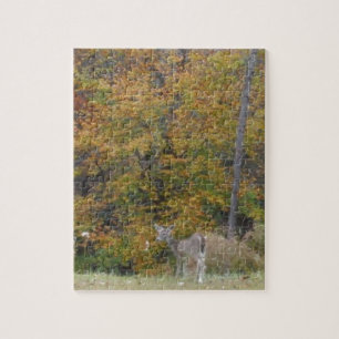 Young Bambi Deer mit Fallbäumen. Puzzle