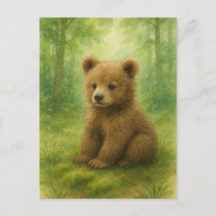 Young Bear Baby Wild Animals Postkarte