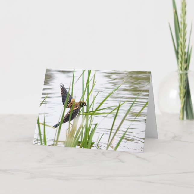 Young Bird in Flight Karte (Vorderseite)