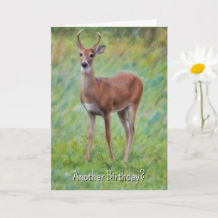 Young Birthday Deer Nature Funny Pun Birthday Card Karte