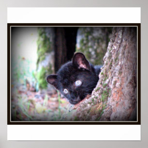 Young Black Leopard Print Poster