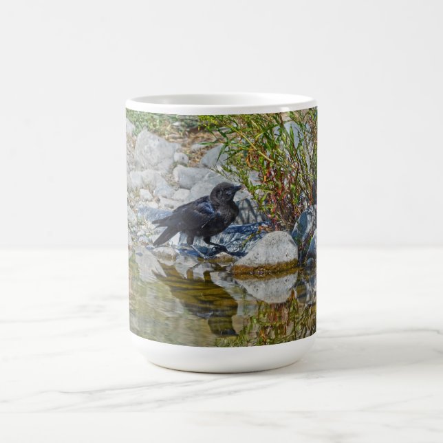 Young Black Raven reflektiert in Pool Kaffeetasse (Mittel)