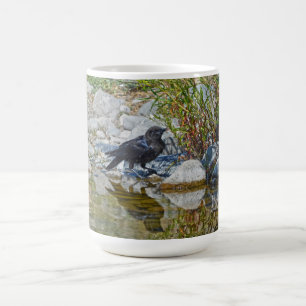 Young Black Raven reflektiert in Pool Kaffeetasse