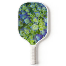Young Blue Hydrangea Blooms Floral