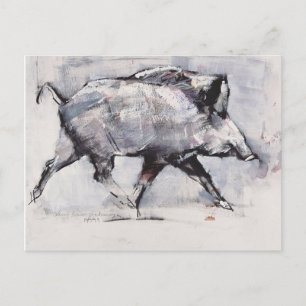 Young boar Bialowieza Polen Postkarte
