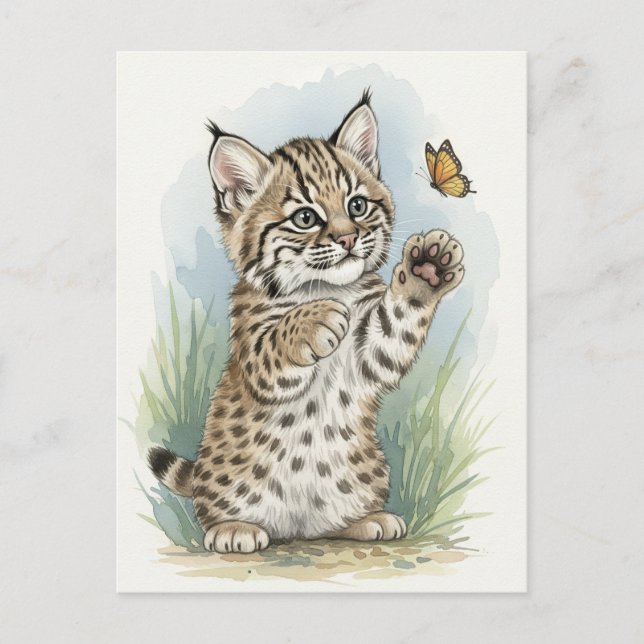 Young Bobcat Kitten Cat Baby Wild Animes Postcard Postkarte (Vorderseite)