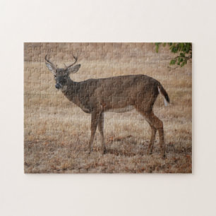 Young Buck Deer Texas Meadow Art Puzzle