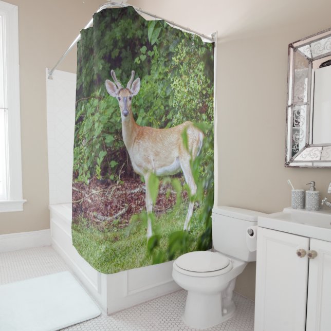 Young Buck in Velvet Duschvorhang (Beispiel)