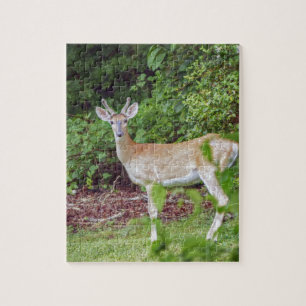 Young Buck in Velvet Puzzle