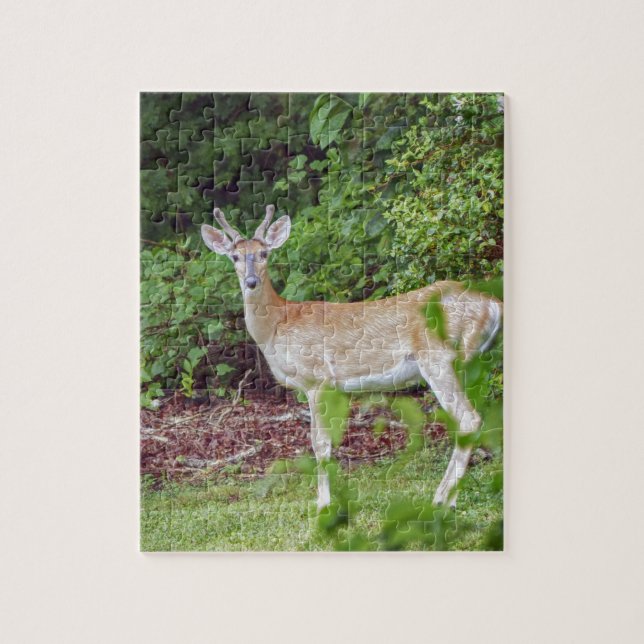 Young Buck in Velvet Puzzle (Vertikal)