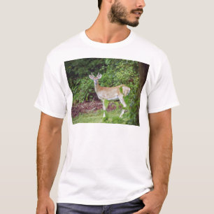 Young Buck in Velvet T-Shirt