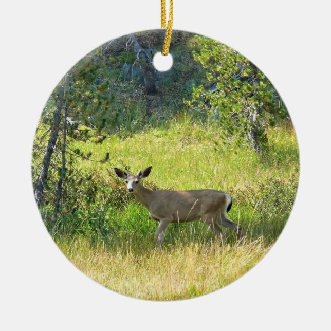 Young Buck in Yosemite, CA Keramik Ornament (Vorne)