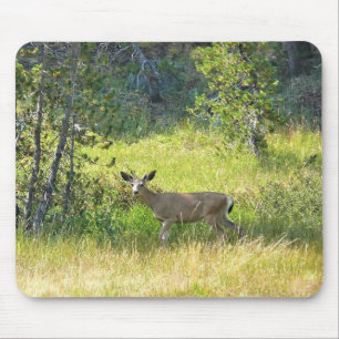 Young Buck in Yosemite, CA Mousepad