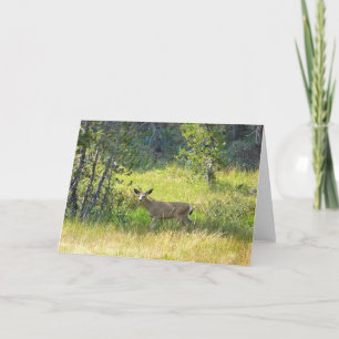 Young Buck in Yosemite, Kalifornien Karte