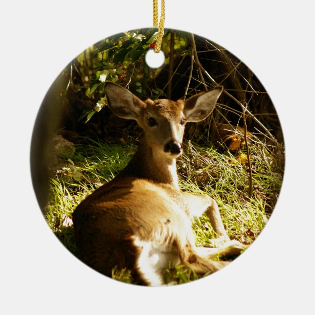 Young Buck Ornament (Vorne)