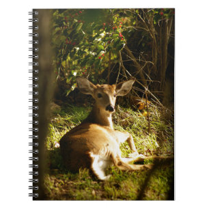 Young Buck Spiral-Foto-Notizbuch Notizblock