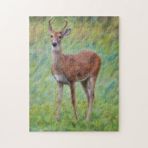 Young Buck Wild Deer Nature Puzzle