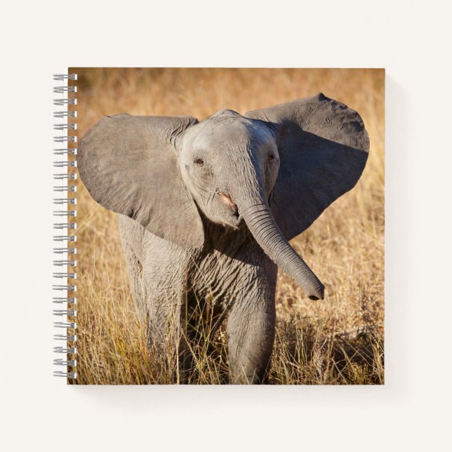 Young Bush Elephant Notizbuch (Vorderseite)
