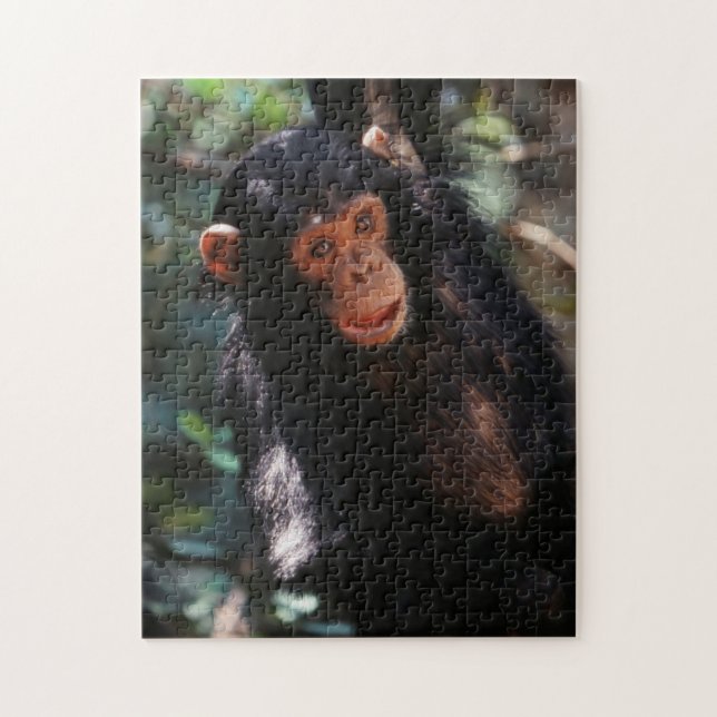 Young Chimpanzee Puzzle (Vertikal)