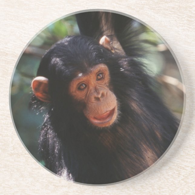 Young Chimpanzee Untersetzer (Vorne)