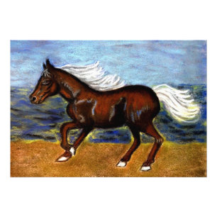 Young Colt Fotodruck