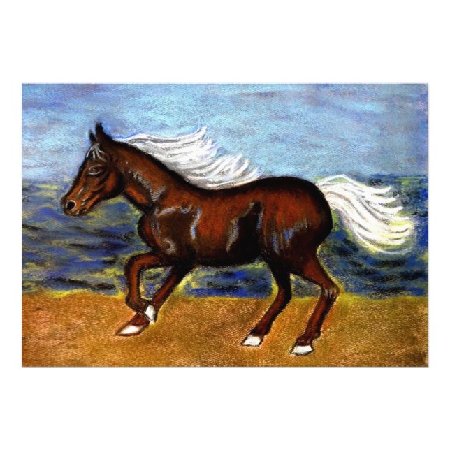 Young Colt Fotodruck (Vorne)