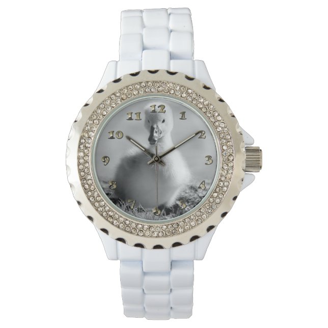 Young Duckling Swan Armbanduhr (Vorderseite)