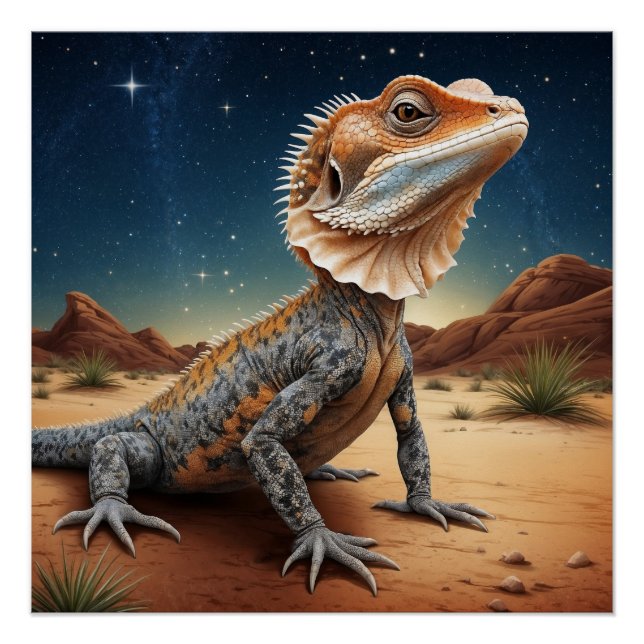 Young Frill-halted Lizard Wildlife Scene Poster (Vorderseite)