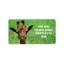 Young Giraffe Address Label