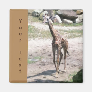 Young Giraffe Walking Deine Textmagnete Magnet