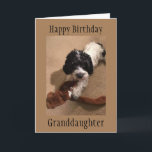 "YOUNG GRANDDAUGHTER" GLÜCKLICHE BIRTHDAKARTE KARTE<br><div class="desc">SAGEN SIE IHREN ***GRANDDAUGHTER*** "MIT DIESER KARTE",  DASS SIE IHREN "SEHR GLÜCKLICHEN GEBURTSTAG" UND SIE **LIEBE** HER WÜNSCHEN. VIELEN DANK,  DASS SIE VON EINER MEINER ACHT GESCHÄFTE GESCHAFFEN HABEN.</div>