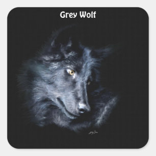 YOUNG GRAY WOLF Wildlife Supporter Stickers