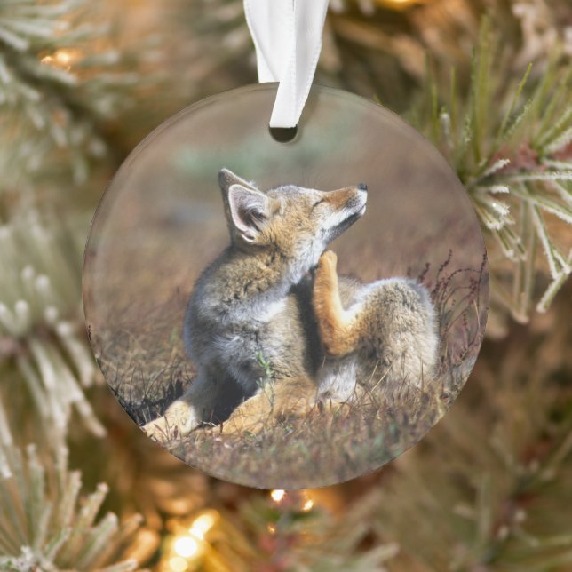 Young Grey Fox im Torres Del Paine Nationalpark Ornament (Baum)