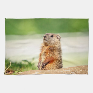 Young Groundhog Handtuch