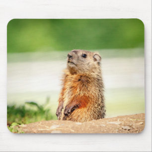 Young Groundhog Mousepad
