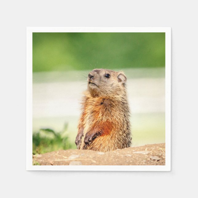 Young Groundhog Serviette (Vorderseite)
