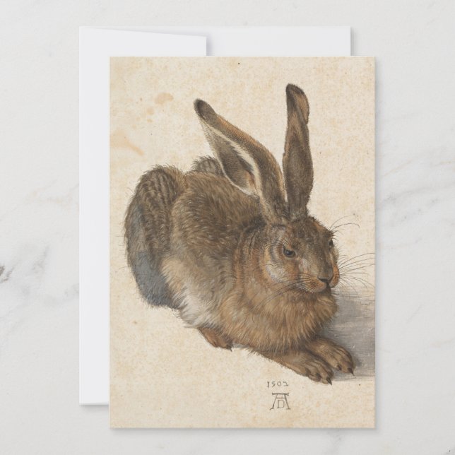 Young Hare | Albrecht Dürer (Vorderseite)