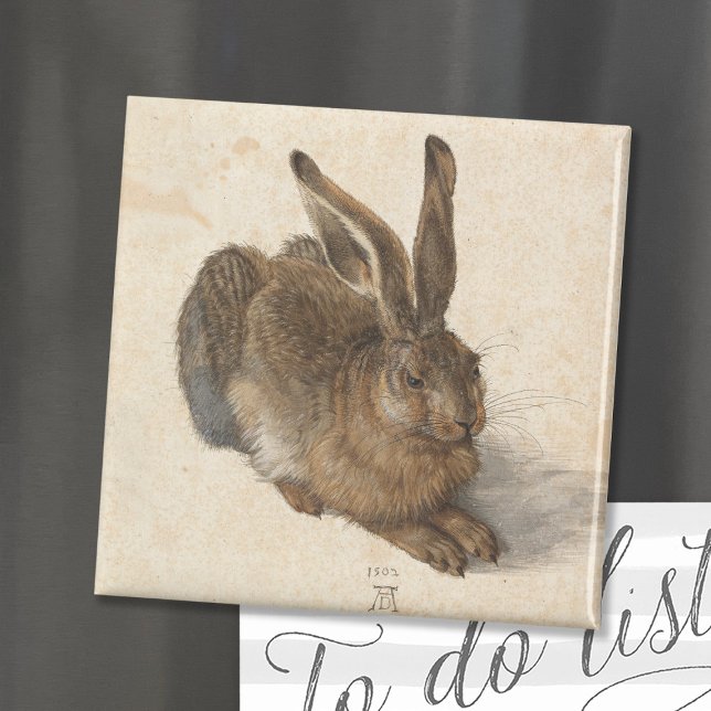 Young Hare | Albrecht Dürer Magnet (Von Creator hochgeladen)