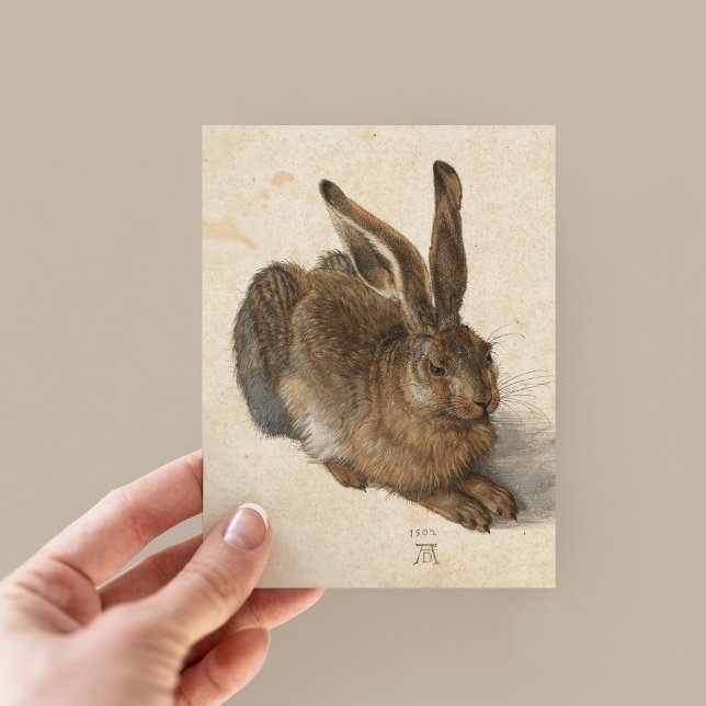 Young Hare | Albrecht Dürer Postkarte (Von Creator hochgeladen)