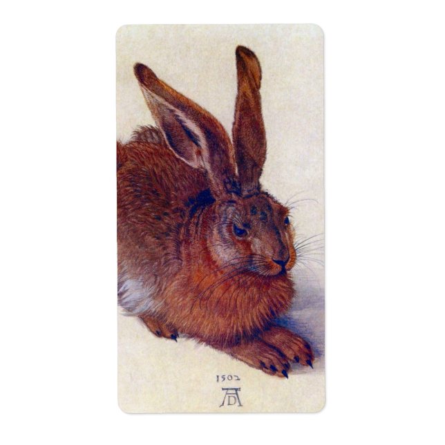 Young Hare by Albrecht Durer, Renaissance Fine Art (Vorne)