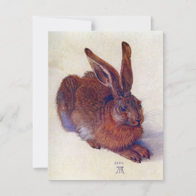 Young Hare by Albrecht Durer, Renaissance Fine Art (Vorderseite)