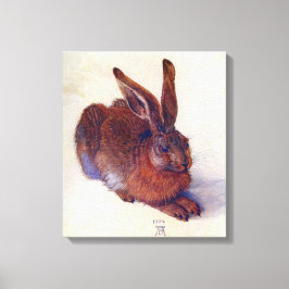 Young Hare by Albrecht Durer, Renaissance Fine Art Leinwanddruck
