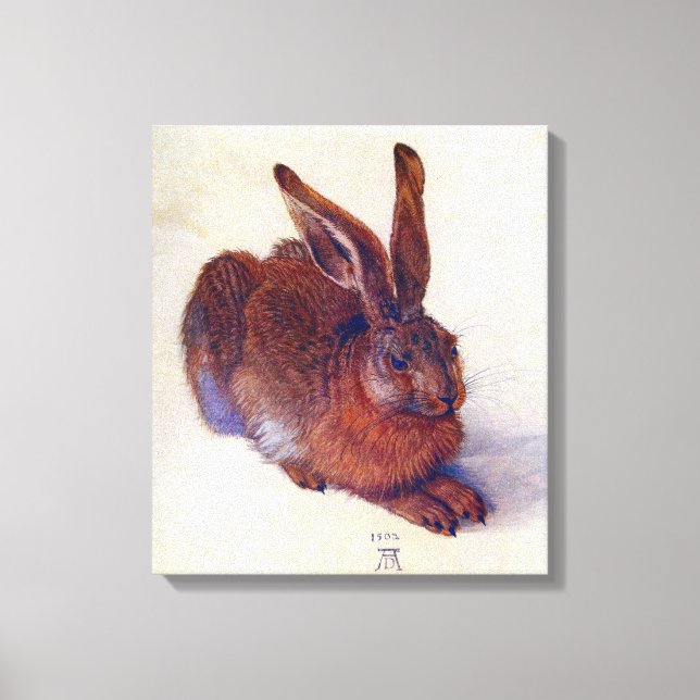 Young Hare by Albrecht Durer, Renaissance Fine Art Leinwanddruck (Vorderseite)