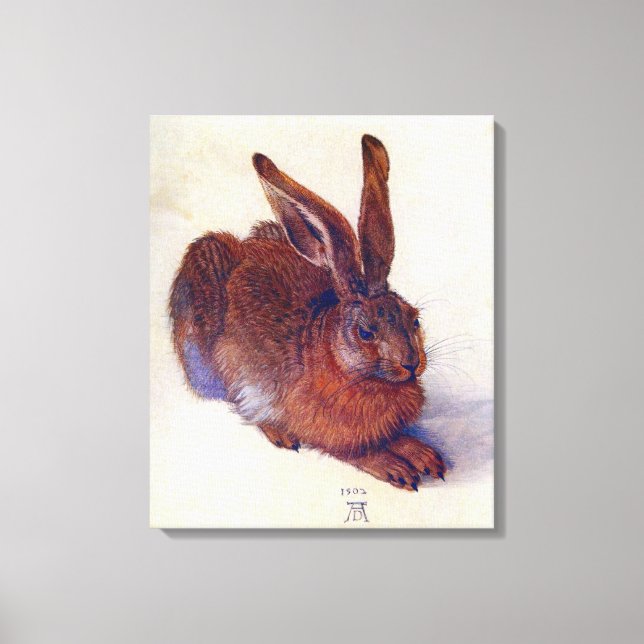 Young Hare by Albrecht Durer, Renaissance Fine Art Leinwanddruck (Vorderseite)