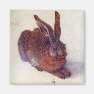 Young Hare by Albrecht Durer, Renaissance Fine Art Magnet